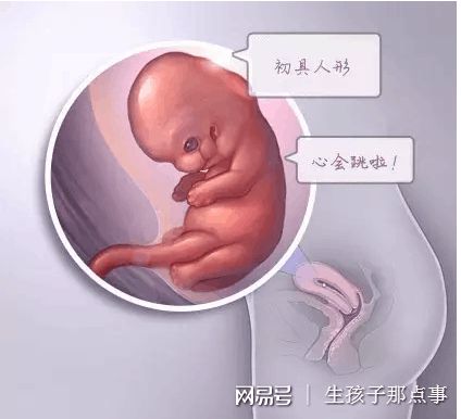 精液分析